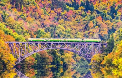 Проездной Japan Rail Pass