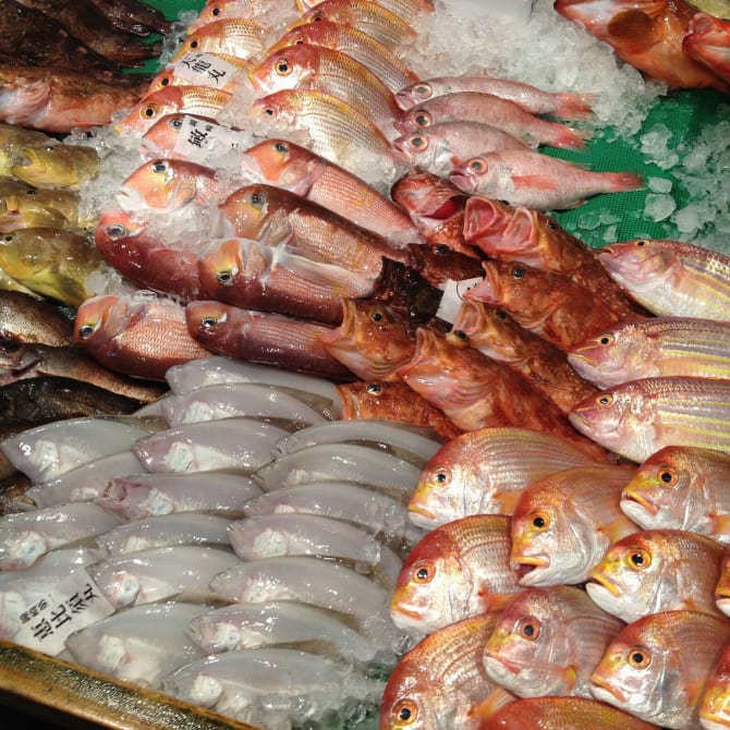 Nagahama Fish Market